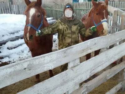 Доброволец из Башкирии увёз в зону СВО двух своих лошадей