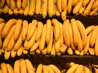Стало известно, откуда в Россию будут поставлять бананы взамен эквадорским