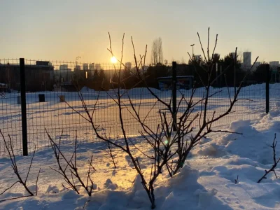 В Башкирии потеплеет до +7°