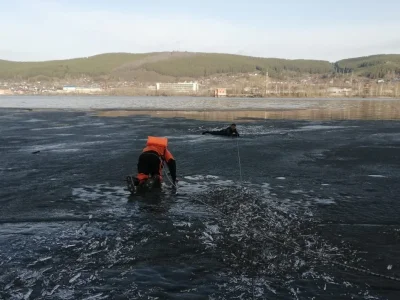 В Башкирии прогулка дамы с собачкой по льду завершилась трагедией