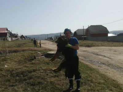В Башкирии собака провалилась в 3-метровый люк