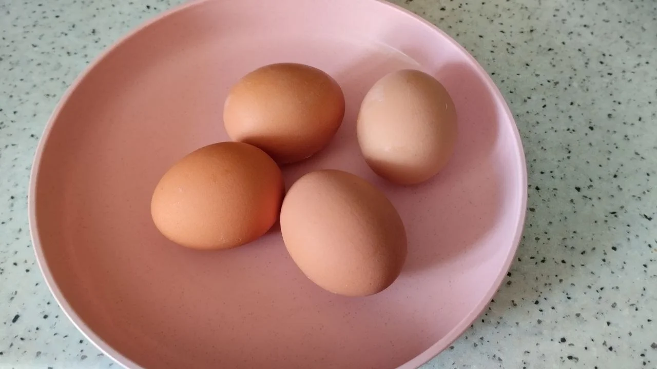 В Башкирии врачи рассказали, сколько яиц не вредно съесть за один приём