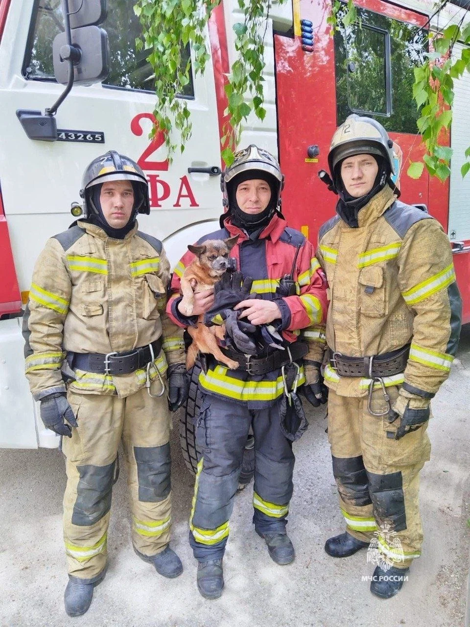 В Уфе из горящей квартиры спасли собаку