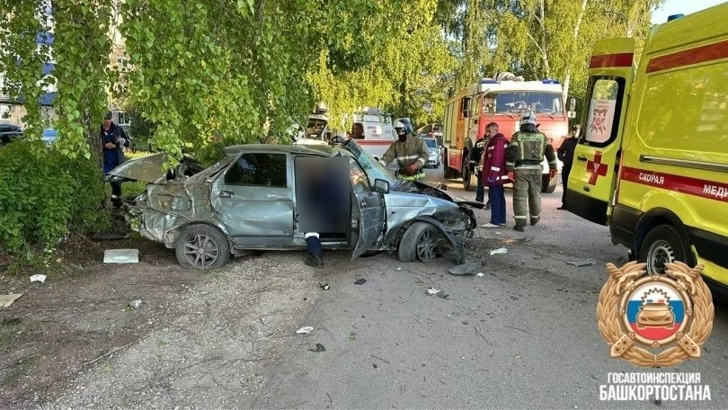 Врезался в дерево: в Башкирии погиб молодой водитель