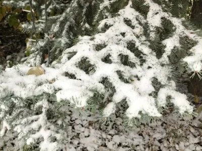 В Башкирии установится временный снежный покров