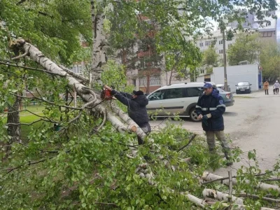 В Уфе шквалистый ветер валил деревья и сносил крыши