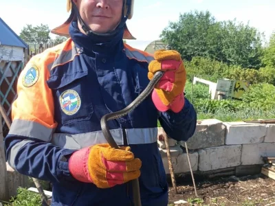В посёлке в Башкирии змея заползла в детский уголок