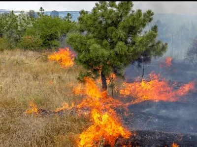 Житель Башкирии устроил пожар на 1,2 млн рублей