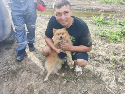 В Башкирии турист провалился в скалах, спасая свою собаку
